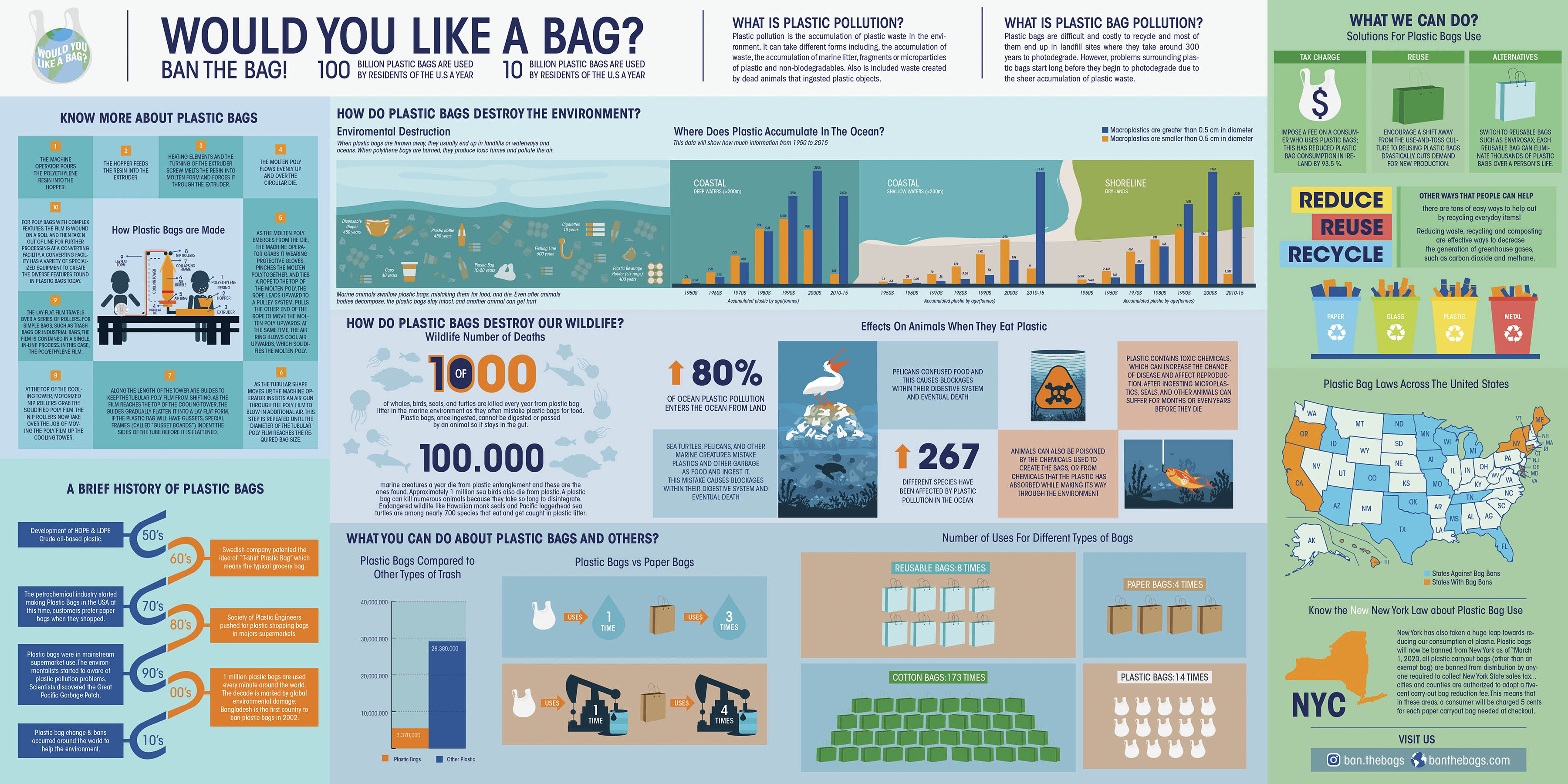 Infographic